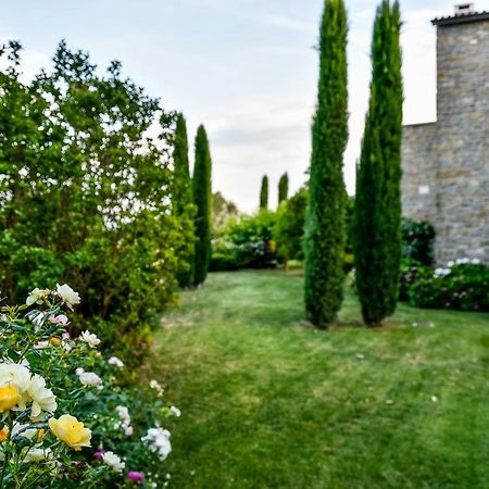 Adq Abbraccio Della Quercia Bed and Breakfast Buje Buitenkant foto