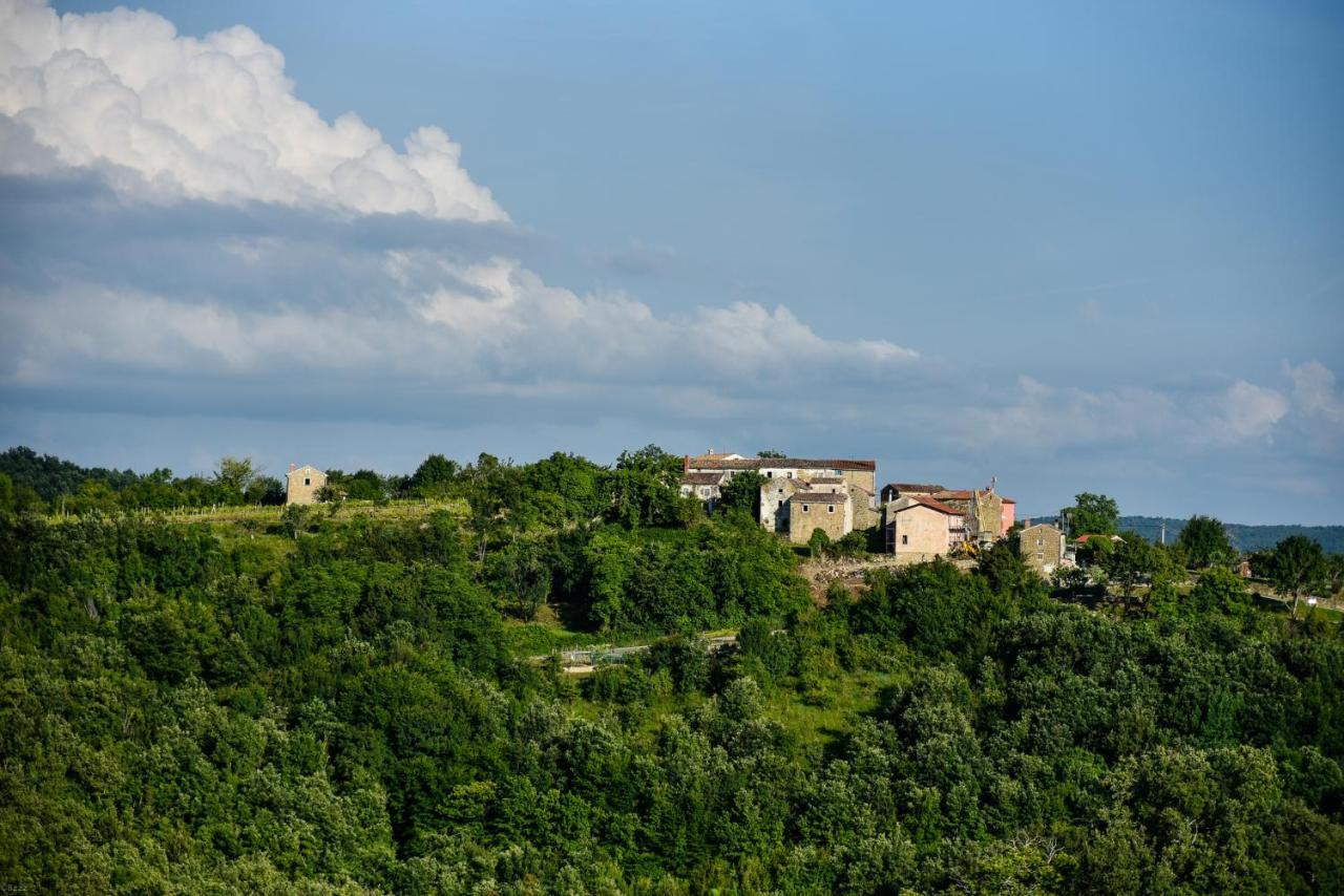 Adq Abbraccio Della Quercia Bed and Breakfast Buje Buitenkant foto