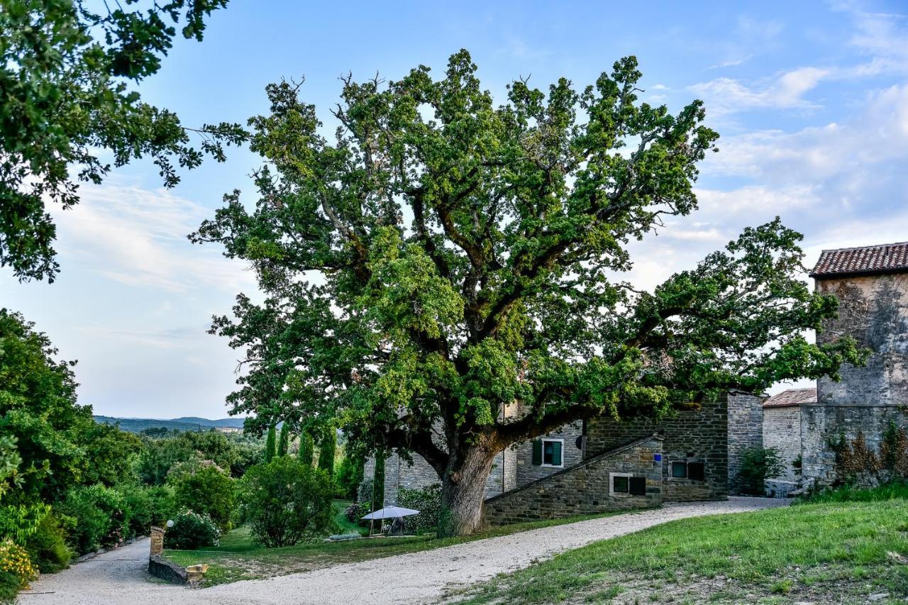 Adq Abbraccio Della Quercia Bed and Breakfast Buje Buitenkant foto