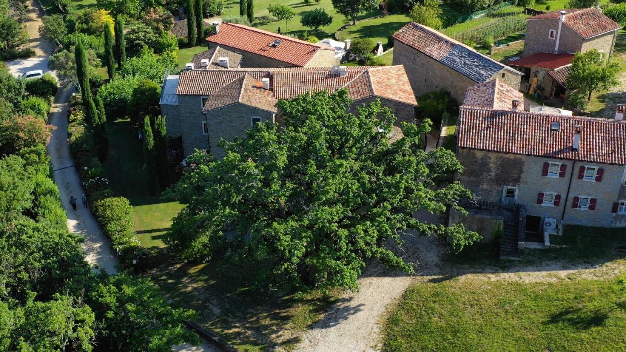 Adq Abbraccio Della Quercia Bed and Breakfast Buje Buitenkant foto